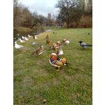 LAS FOTOS HECHAS CON ESTE TELÉFONO