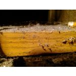 IMAGENS DESTE TELEFONE