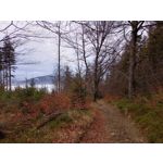 来自这款手机的图片