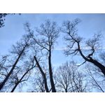 Imágenes de los usuarios Motorola Moto G200 5G Dual SIM Imágenes de los usuarios Motorola Moto G200 5G Dual SIM