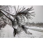 Imágenes de los usuarios Motorola Moto G200 5G Dual SIM Imágenes de los usuarios Motorola Moto G200 5G Dual SIM