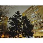 Imágenes de los usuarios Motorola Moto G200 5G Dual SIM Imágenes de los usuarios Motorola Moto G200 5G Dual SIM