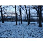 Imágenes de los usuarios Motorola Moto G200 5G Dual SIM Imágenes de los usuarios Motorola Moto G200 5G Dual SIM