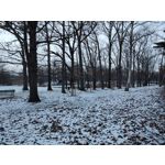 Imágenes de los usuarios Motorola Moto G200 5G Dual SIM Imágenes de los usuarios Motorola Moto G200 5G Dual SIM