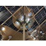 Imágenes de los usuarios Motorola Moto G200 5G Dual SIM Imágenes de los usuarios Motorola Moto G200 5G Dual SIM