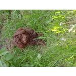 PICTURES FROM THIS PHONE