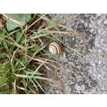 PICTURES FROM THIS PHONE