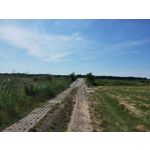 PHOTOS FAITES AVEC CE SMARTPHONE