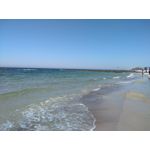 来自这款手机的图片