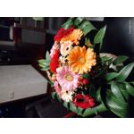 来自这款手机的图片