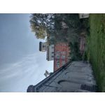 来自这款手机的图片