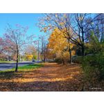 LAS FOTOS HECHAS CON ESTE TELÉFONO