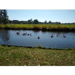 IMAGENS DESTE TELEFONE