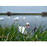 IMAGENS DESTE TELEFONE