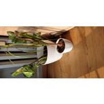 FOTOS AUS DIESEM HANDY