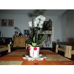 来自这款手机的图片