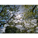 Фотографии пользователя Motorola Moto G7 Plus