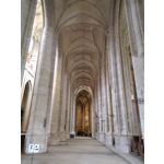 Фотографии пользователя Motorola Moto G7 Plus