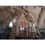 ФОТКИ СНЯТЫЕ ДАННЫМ МОБИЛЬНИКОМ