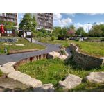 Фотографии пользователя Motorola Moto G7 Plus