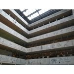 Фотографии пользователя Motorola Moto G7 Plus