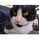 用戶照片 Motorola Moto G7 Power Dual SIM