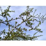 用戶照片 Motorola Moto G7 Power Dual SIM