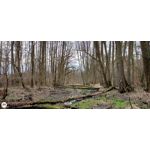 FOTO'S VAN DEZE TELEFOON