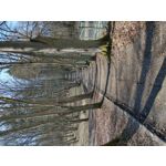 LAS FOTOS HECHAS CON ESTE TELÉFONO