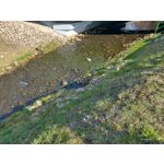 LAS FOTOS HECHAS CON ESTE TELÉFONO