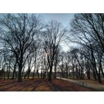 FOTOS AUS DIESEM HANDY