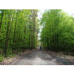 Imágenes de los usuarios Motorola Moto G8 Power Lite