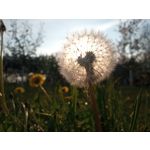 Imágenes de los usuarios Motorola Moto G8 Power Lite