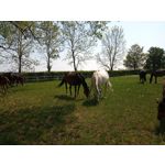 Imágenes de los usuarios Motorola Moto G8 Power Lite