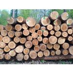 Imágenes de los usuarios Motorola Moto G8 Power Lite