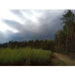 Imágenes de los usuarios Motorola Moto G8 Power Lite