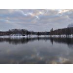 Imágenes de los usuarios Motorola Moto G82