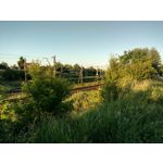 來自這款手機的圖片