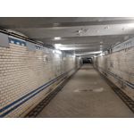 來自這款手機的圖片