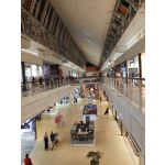 用户照片 Motorola One Action Dual SIM