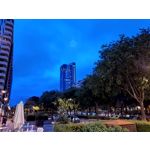 Pictures by this phone Motorola One Vision Dual SIM