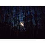 来自这款手机的图片