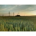 来自这款手机的图片