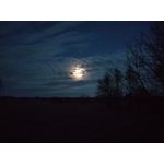 来自这款手机的图片