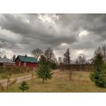 来自这款手机的图片