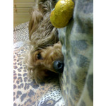 PICTURES FROM THIS PHONE