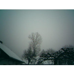 Foto's van de gebruikers Motorola V220 Foto's van de gebruikers Motorola V220