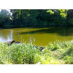 Imágenes de los usuarios Motorola V3x Imágenes de los usuarios Motorola V3x