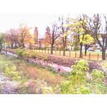 PICTURES FROM THIS PHONE