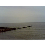 來自這款手機的圖片